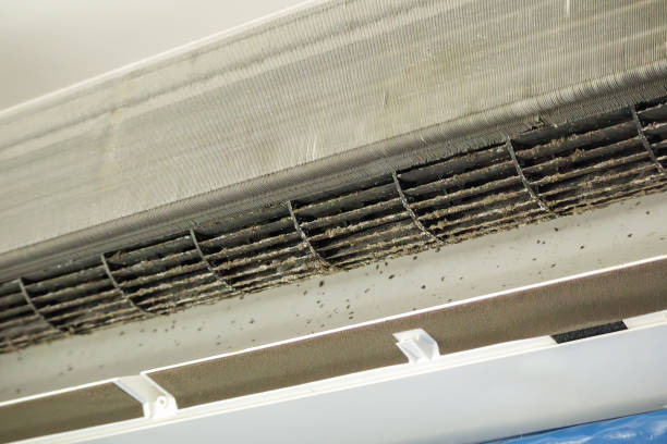 Best Affordable HVAC Duct Cleaning  in Burns, OR